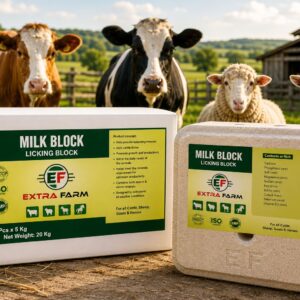 Milk licking block for cattle sheep goats Extra Farm Albania