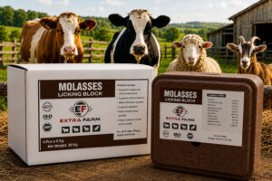 Molasses Licking Block for cattle sheep goats and horses