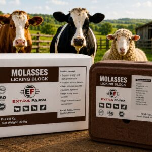 Molasses Licking Block for cattle sheep goats and horses