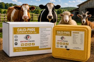 Calci-Phos Licking Block D3 for cattle sheep goats and horses