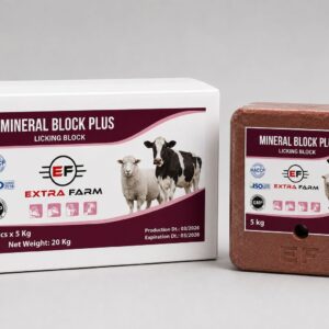 Mineral licking block plus for cattle sheep goats Extra Farm Albania