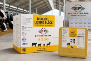 Mineral licking block for cattle sheep goats Extra Farm Albania
