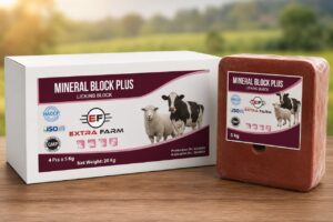 Mineral licking block plus for cattle sheep goats Extra Farm Albania