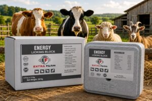Energy Licking Block for cattle sheep and goats