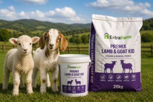 Premix Lamb & Goat Kid vitamin and mineral premix