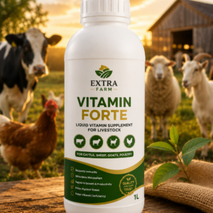 Vitamin Forte liquid vitamin supplement for livestock