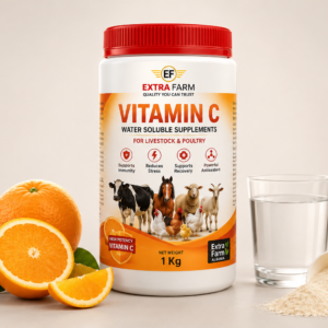 Vitamin C water soluble supplement for livestock and poultry