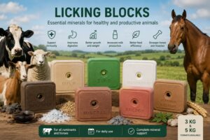 Extra Farm licking blocks for cattle sheep goats and horses