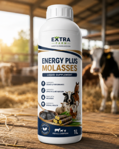 Energy Plus Molasses liquid supplement for livestock