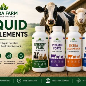 Liquid Supplements